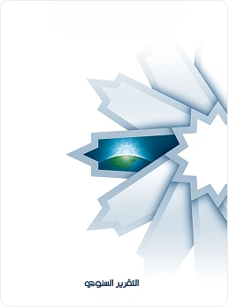 التقرير السنوي 2013