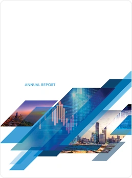  Annual Report 2020